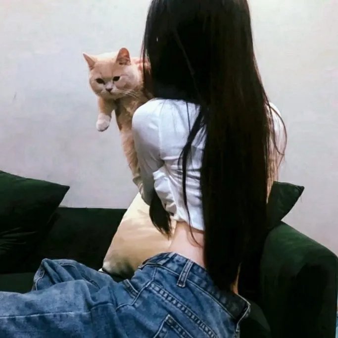 红蝎子之带泪梨花